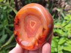 Polished Carnelian Agate Gemstone Bowls x 6 From Madagascar