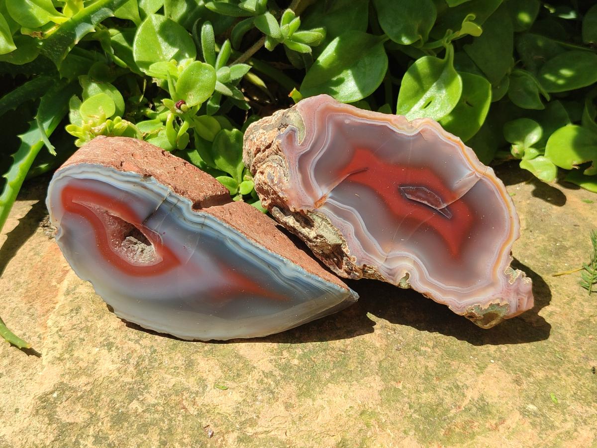 Polished One Side Red Shashe River Agate Nodules x 6 From Shashe River, Zimbabwe
