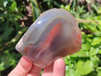 Polished One Side Red Shashe River Agate Nodules x 6 From Shashe River, Zimbabwe