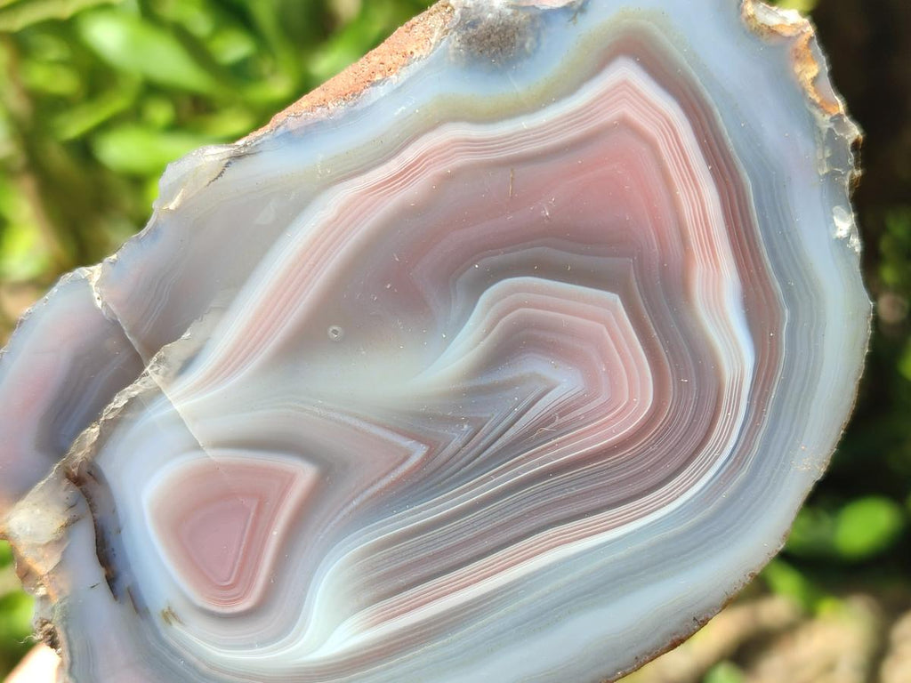 Polished One Side Red Shashe River Agate Nodules x 6 From Shashe River, Zimbabwe