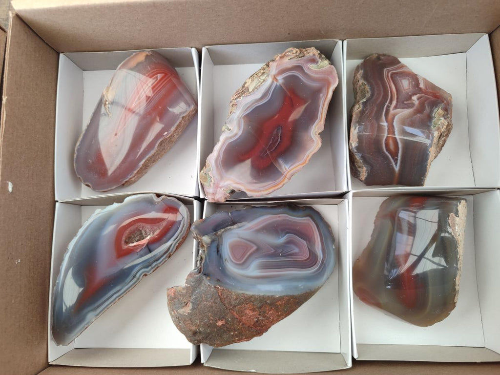 Polished One Side Red Shashe River Agate Nodules x 6 From Shashe River, Zimbabwe