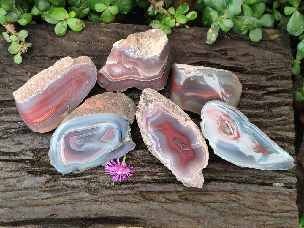 Polished One Side Red Shashe River Agate Nodules x 6 From Shashe River, Zimbabwe