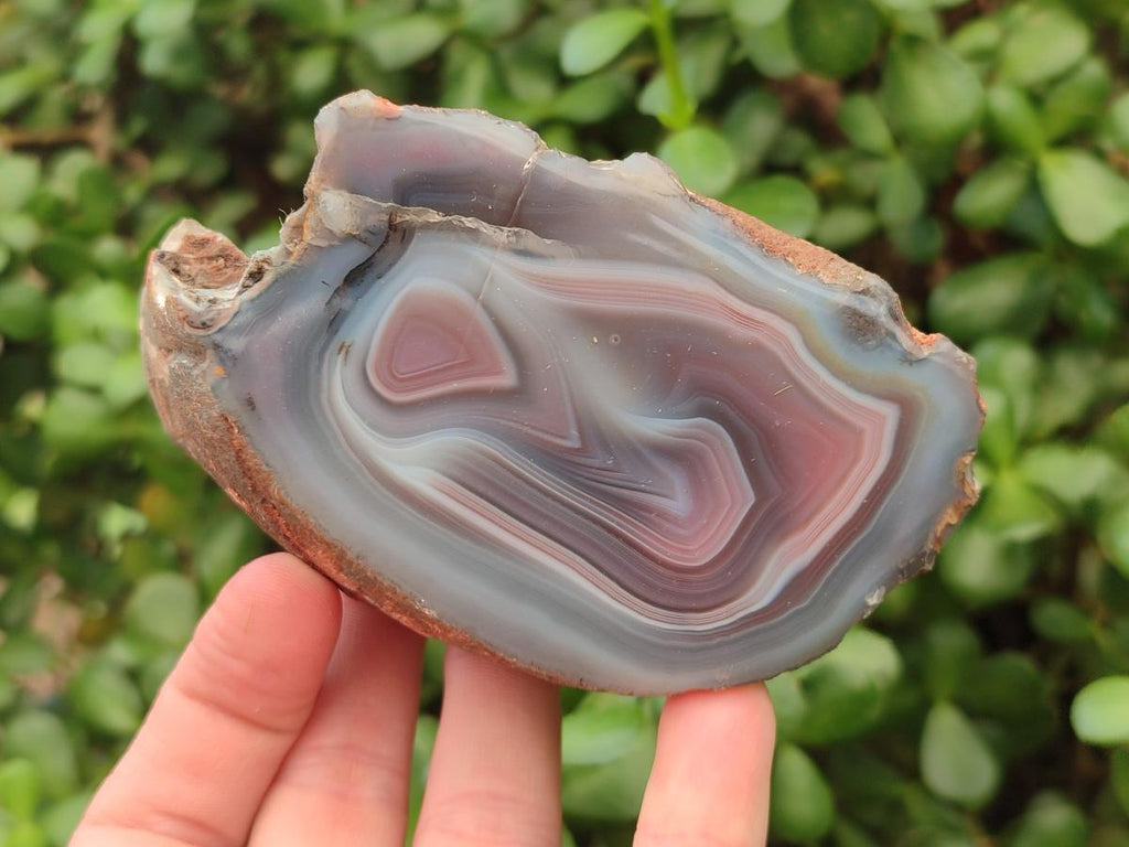 Polished One Side Red Shashe River Agate Nodules x 6 From Shashe River, Zimbabwe