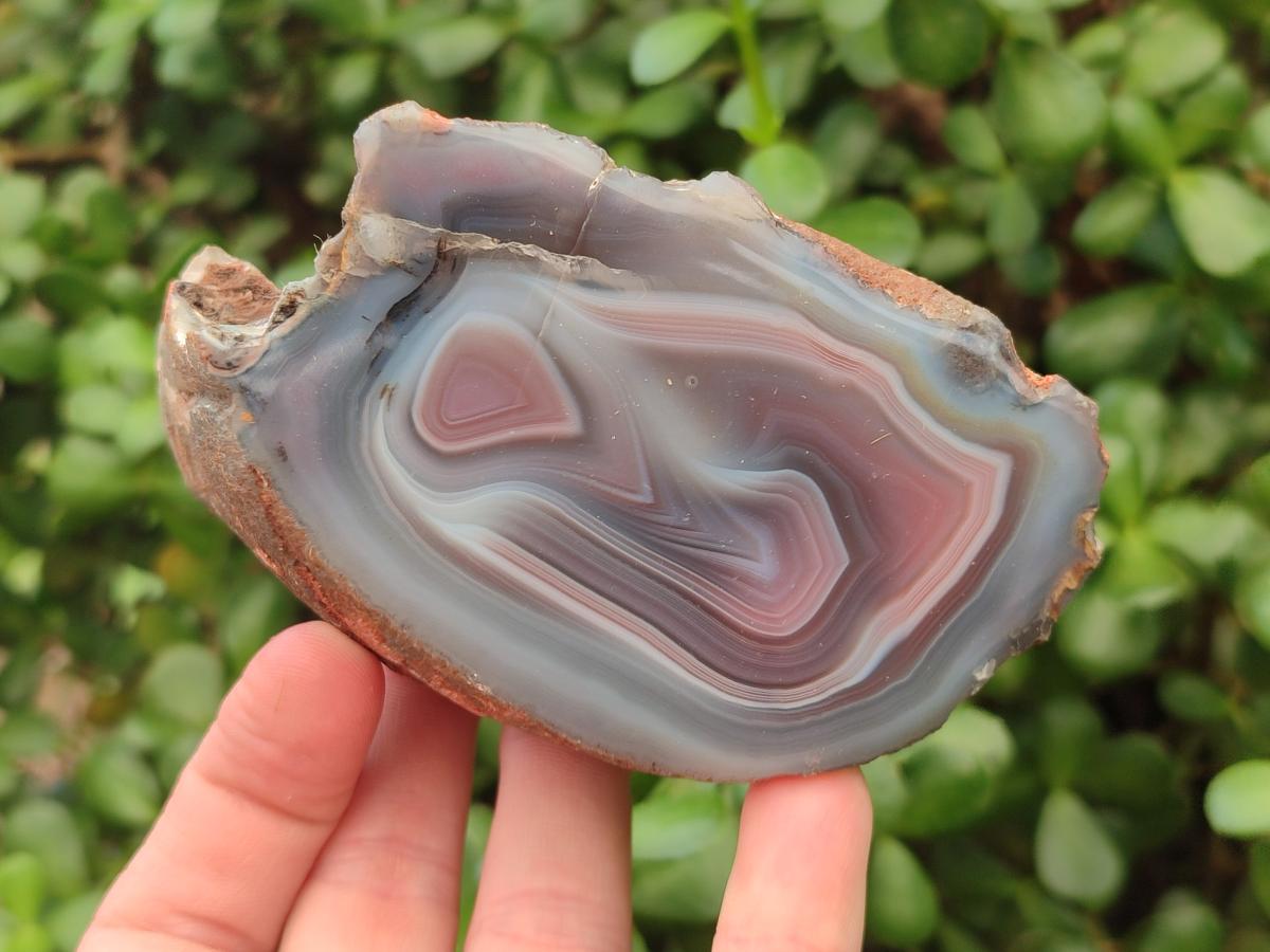 Polished One Side Red Shashe River Agate Nodules x 6 From Shashe River, Zimbabwe