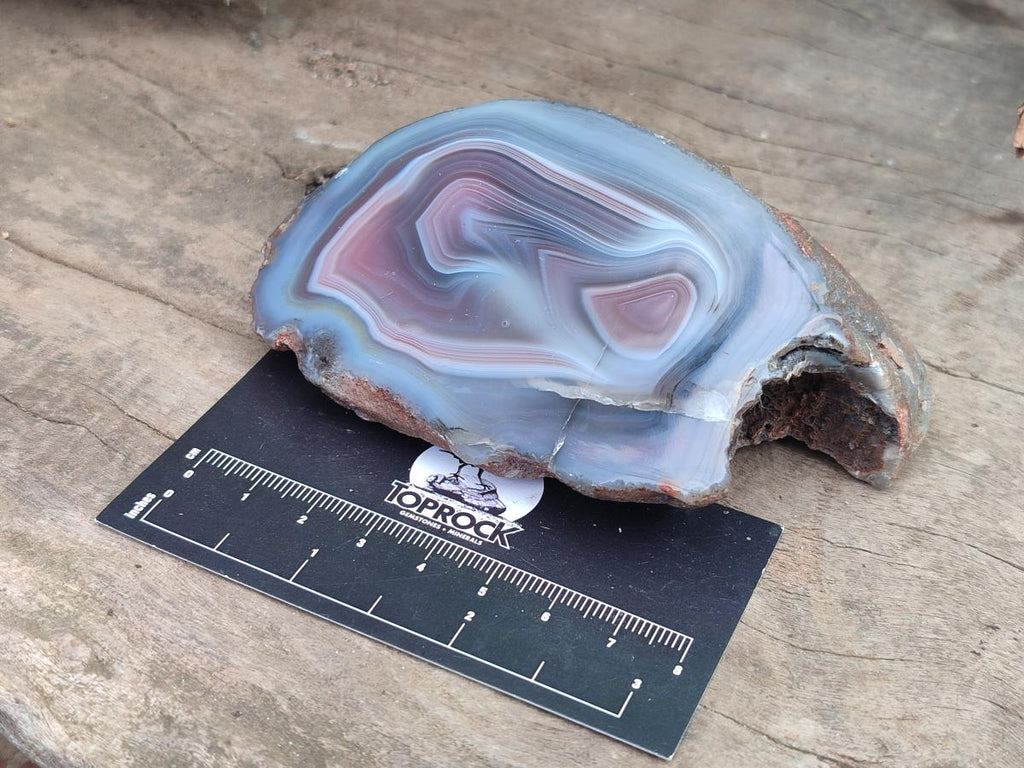 Polished One Side Red Shashe River Agate Nodules x 6 From Shashe River, Zimbabwe