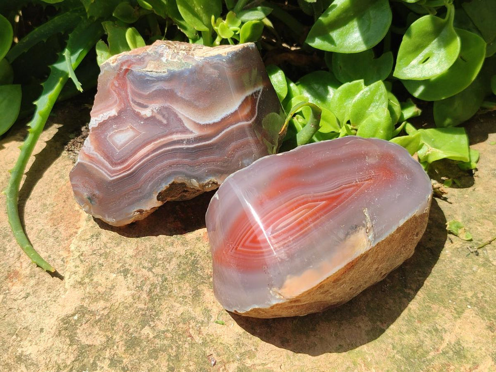 Polished One Side Red Shashe River Agate Nodules x 6 From Shashe River, Zimbabwe