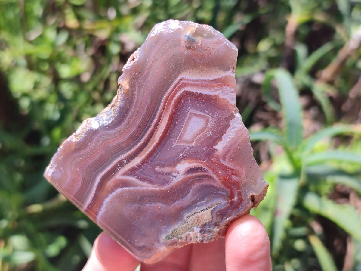 Polished One Side Red Shashe River Agate Nodules x 6 From Shashe River, Zimbabwe