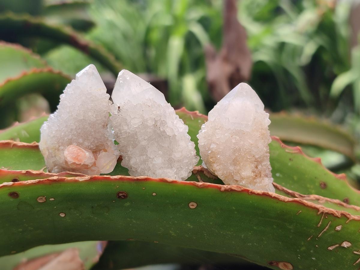 Natural White Spirit Quartz Crystals and Clusters x 70 From Boekenhouthoek, South Africa