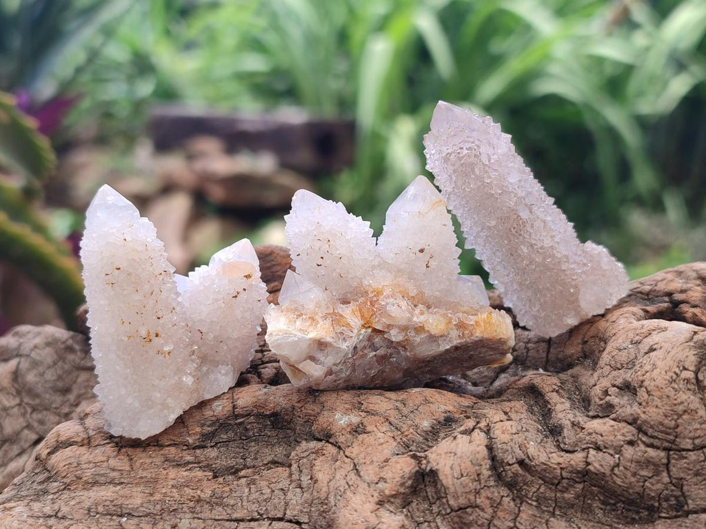 Natural White Spirit Quartz Crystals and Clusters x 70 From Boekenhouthoek, South Africa