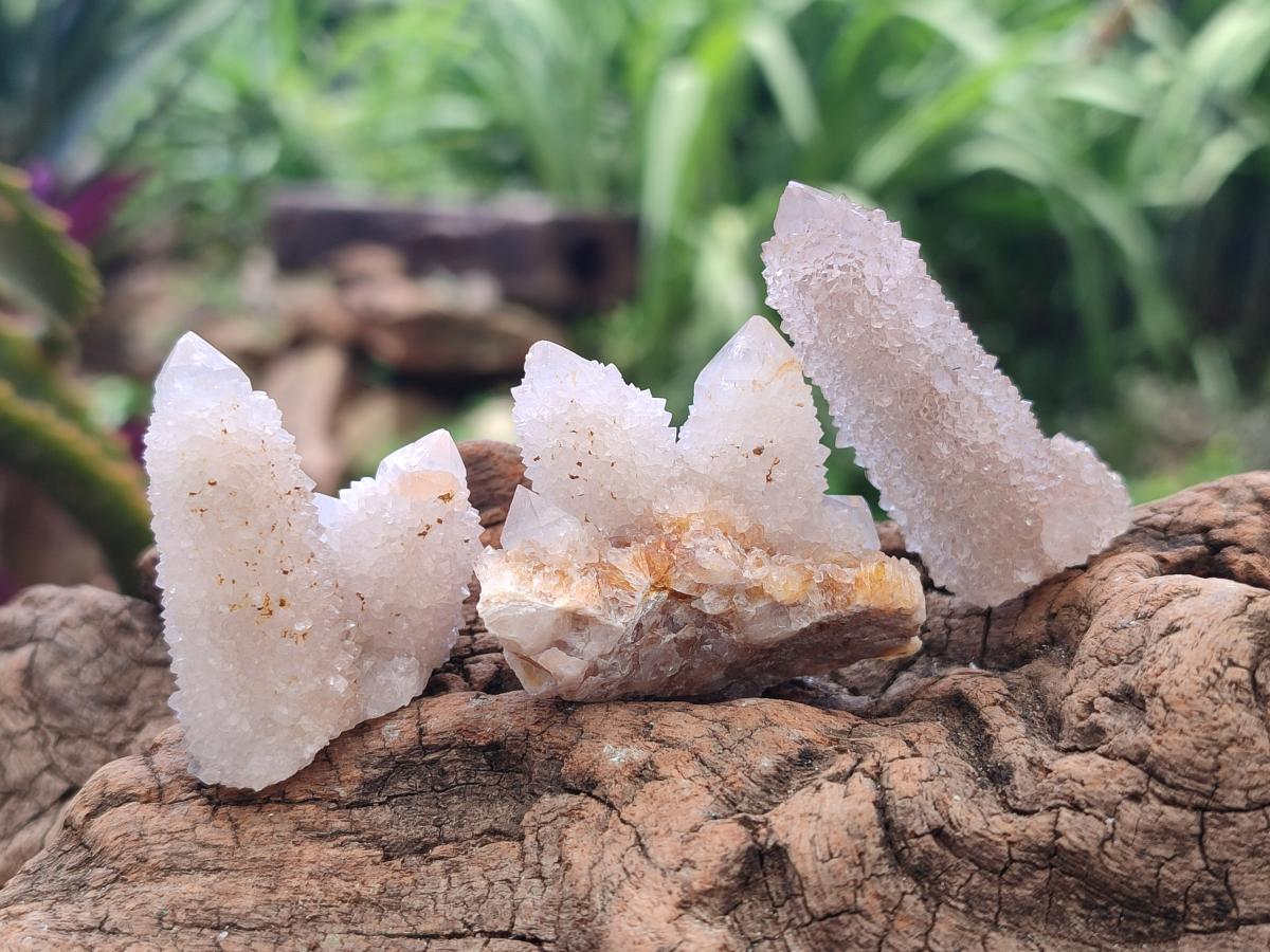 Natural White Spirit Quartz Crystals and Clusters x 70 From Boekenhouthoek, South Africa