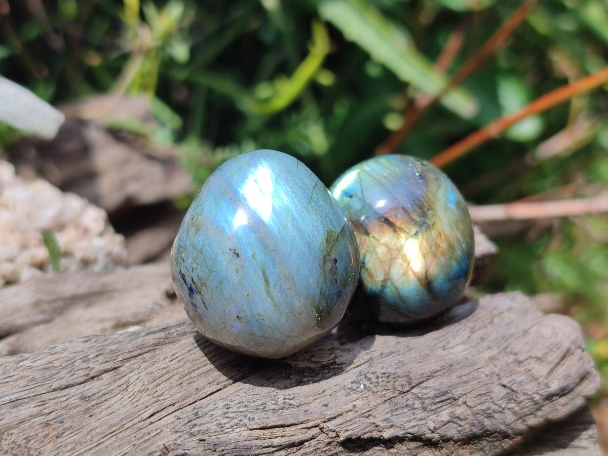 Polished Rounded Labradorite Free Forms x 35 From Madagascar