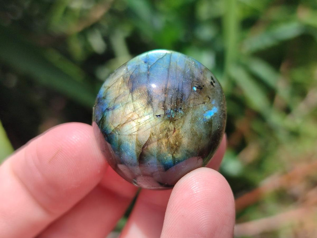 Polished Rounded Labradorite Free Forms x 35 From Madagascar