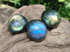 Polished Rounded Labradorite Free Forms x 35 From Madagascar