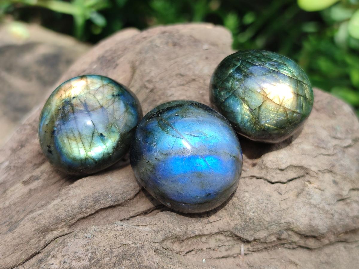 Polished Rounded Labradorite Free Forms x 35 From Madagascar