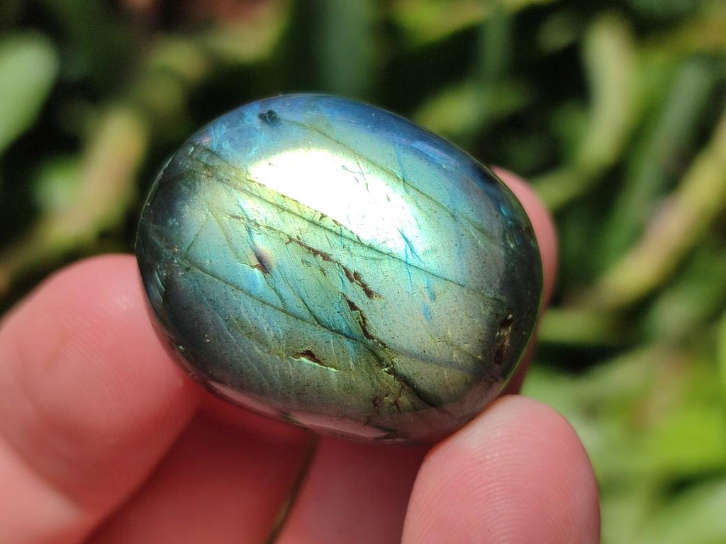 Polished Rounded Labradorite Free Forms x 35 From Madagascar