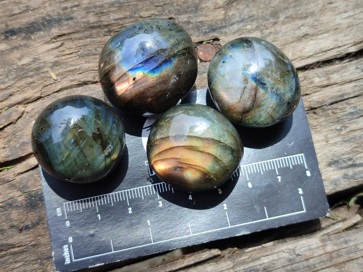 Polished Rounded Labradorite Free Forms x 35 From Madagascar