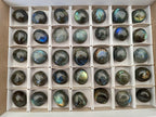 Polished Rounded Labradorite Free Forms x 35 From Madagascar