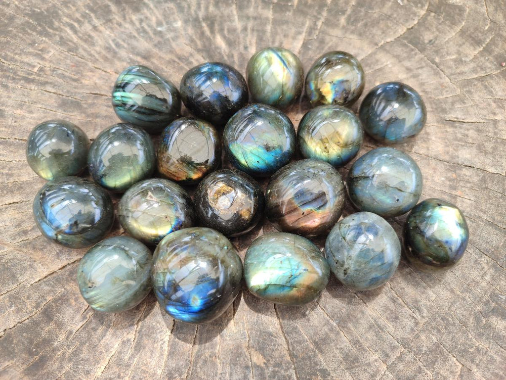 Polished Rounded Labradorite Free Forms x 35 From Madagascar