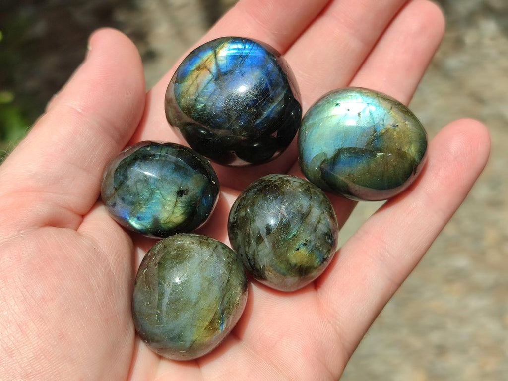 Polished Rounded Labradorite Free Forms x 35 From Madagascar