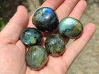 Polished Rounded Labradorite Free Forms x 35 From Madagascar