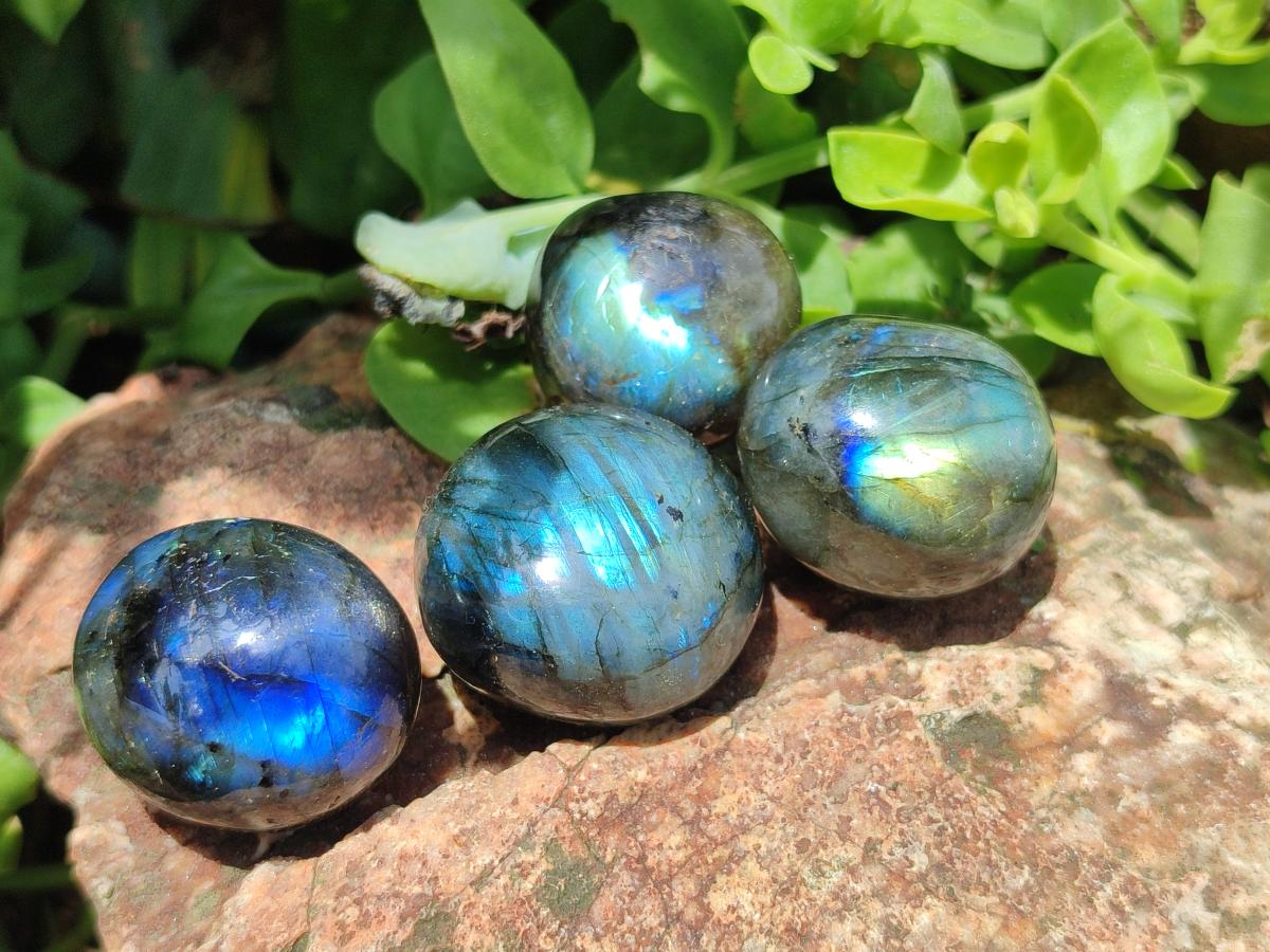 Polished Rounded Labradorite Free Forms x 35 From Madagascar