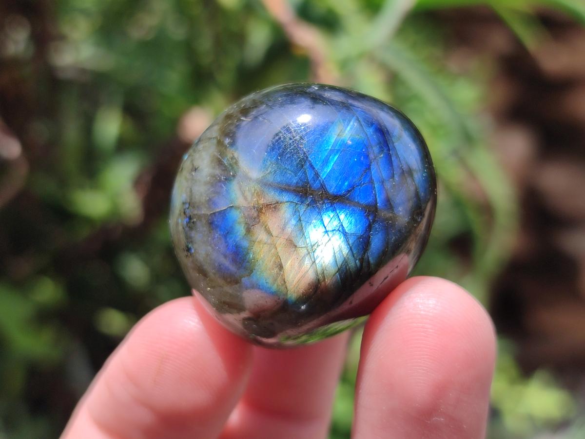 Polished Rounded Labradorite Free Forms x 35 From Madagascar