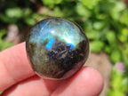 Polished Rounded Labradorite Free Forms x 35 From Madagascar