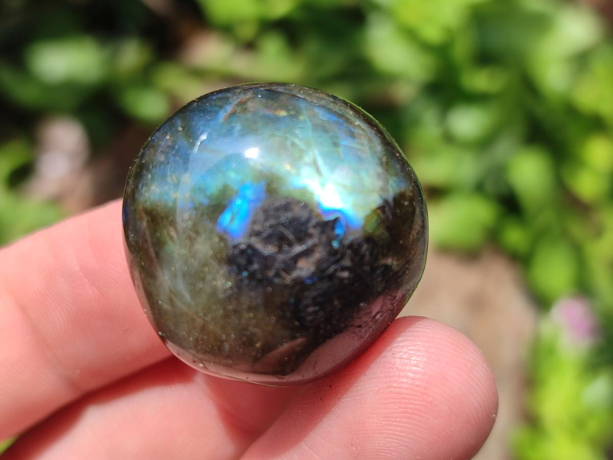 Polished Rounded Labradorite Free Forms x 35 From Madagascar