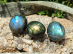 Polished Rounded Labradorite Free Forms x 35 From Madagascar
