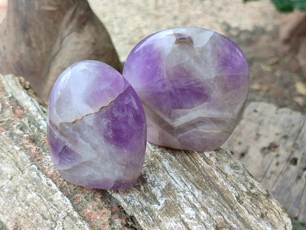 Polished Purple Chevron Amethyst Standing Free Forms x 6 From Madagascar