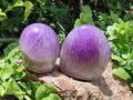 Polished Purple Chevron Amethyst Standing Free Forms x 6 From Madagascar