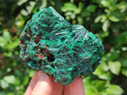 Natural Silky Malachite Specimens x 4 From Kasompe, Congo