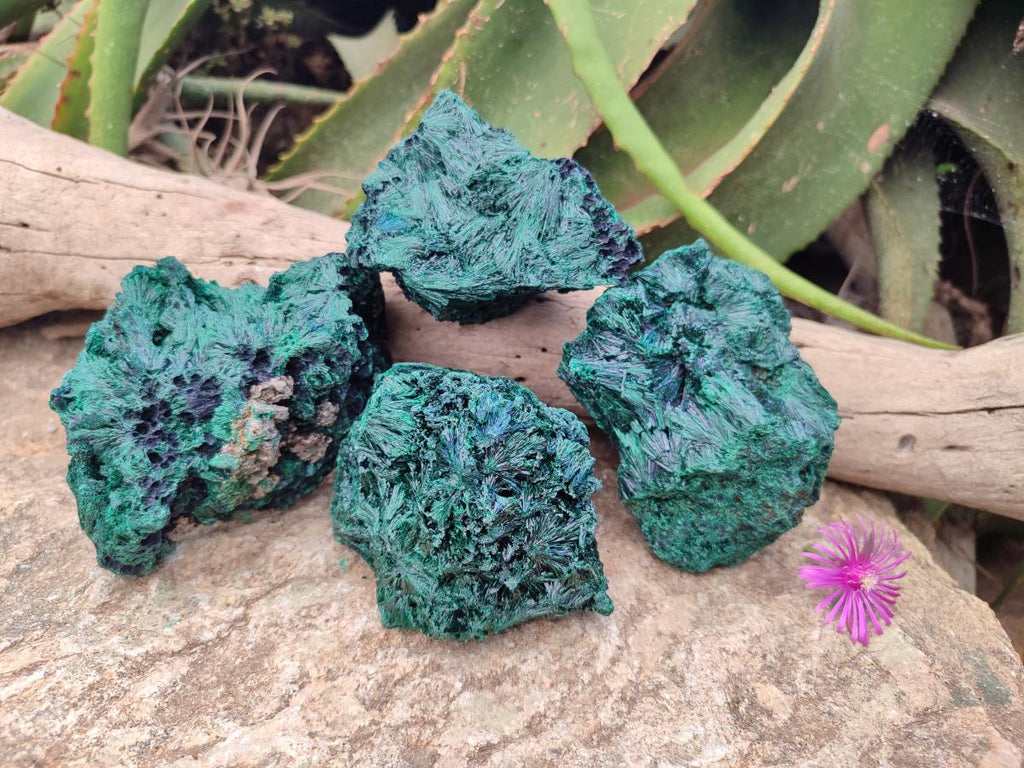 Natural Silky Malachite Specimens x 4 From Kasompe, Congo