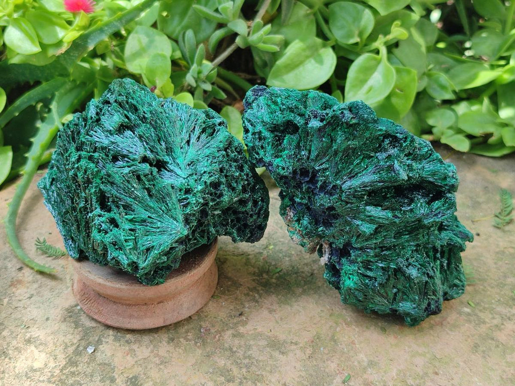 Natural Silky Malachite Specimens x 4 From Kasompe, Congo