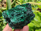 Natural Silky Malachite Specimens x 4 From Kasompe, Congo