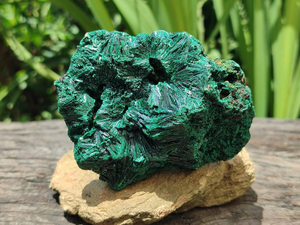 Natural Silky Malachite Specimens x 4 From Kasompe, Congo