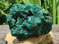 Natural Silky Malachite Specimens x 4 From Kasompe, Congo - Toprock Gemstones and Minerals 