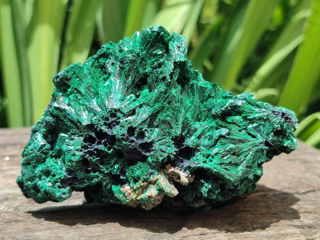 Natural Silky Malachite Specimens x 4 From Kasompe, Congo