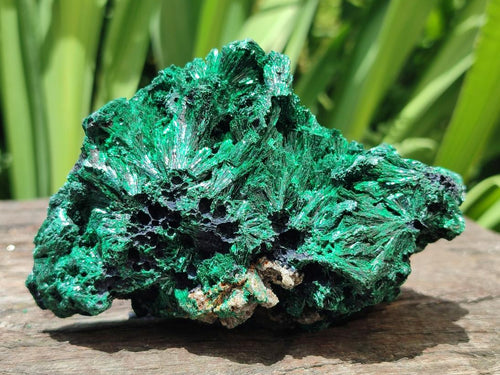 Natural Silky Malachite Specimens x 4 From Kasompe, Congo