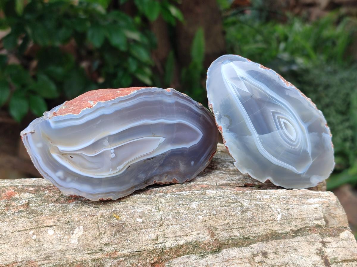 Polished One Side Red Shashe River Agate Nodules x 4 From Shashe River, Zimbabwe