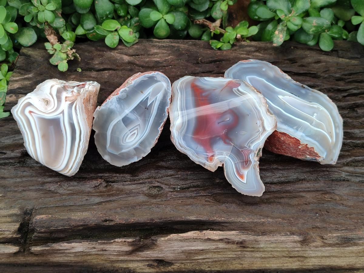 Polished One Side Red Shashe River Agate Nodules x 4 From Shashe River, Zimbabwe