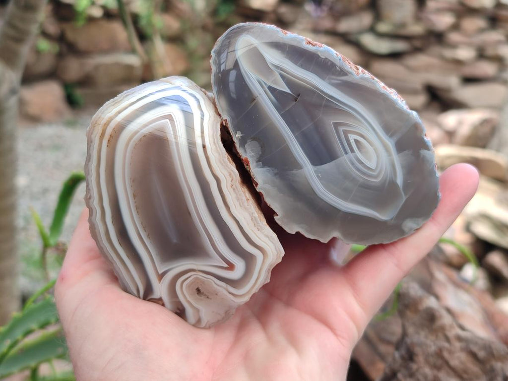 Polished One Side Red Shashe River Agate Nodules x 4 From Shashe River, Zimbabwe