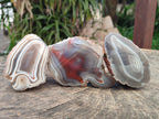Polished One Side Red Shashe River Agate Nodules x 4 From Shashe River, Zimbabwe
