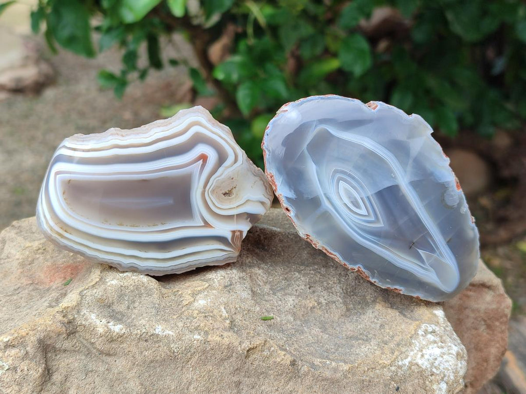 Polished One Side Red Shashe River Agate Nodules x 4 From Shashe River, Zimbabwe