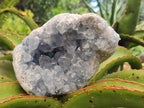 Natural Blue Celestite Geode Specimens x 2 From Sakoany, Madagascar