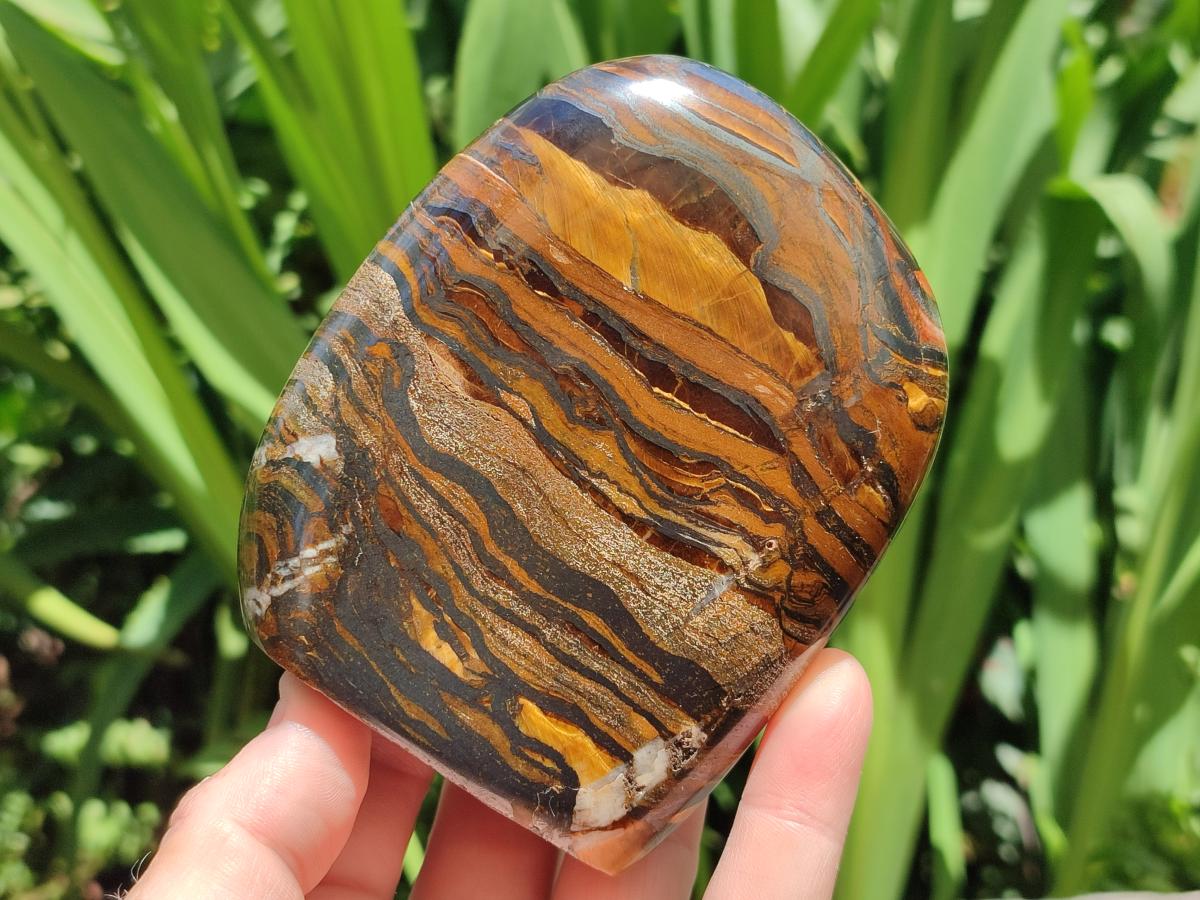 Polished Golden Tigers Eye With Banded Iron Stone Standing Free Forms x 2 From Prieska, South Africa