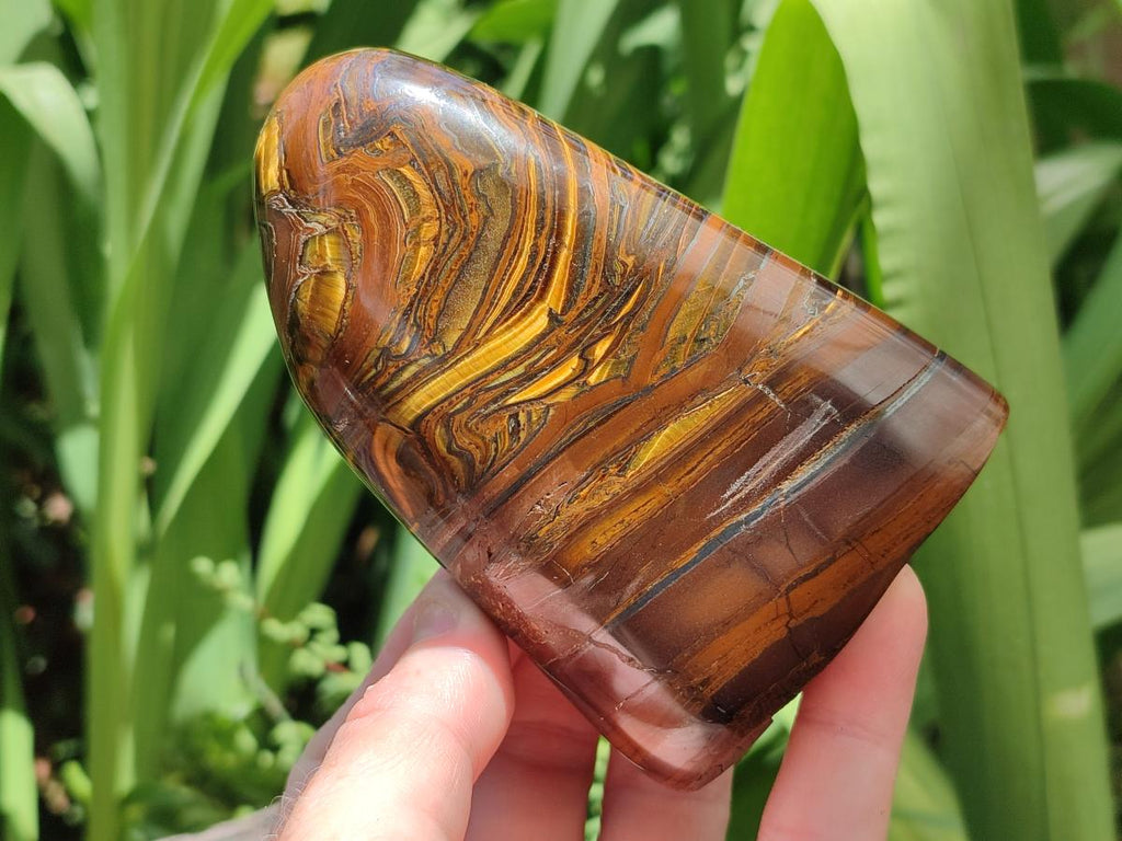 Polished Golden Tigers Eye With Banded Iron Stone Standing Free Forms x 2 From Prieska, South Africa