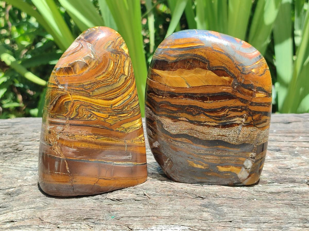 Polished Golden Tigers Eye With Banded Iron Stone Standing Free Forms x 2 From Prieska, South Africa