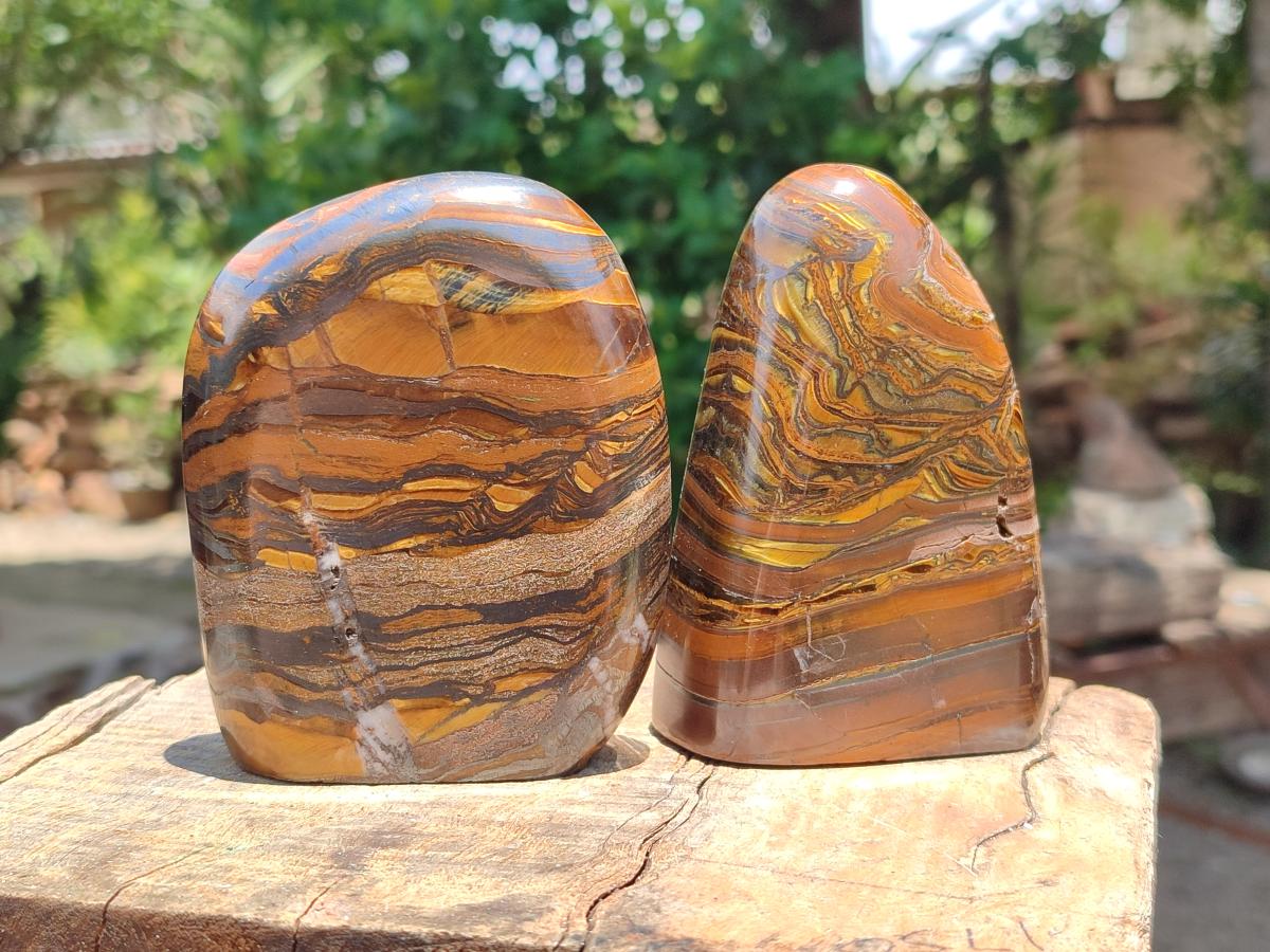 Polished Golden Tigers Eye With Banded Iron Stone Standing Free Forms x 2 From Prieska, South Africa