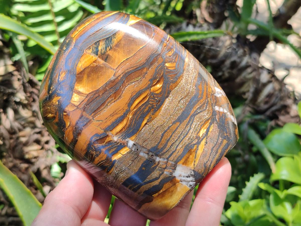Polished Golden Tigers Eye With Banded Iron Stone Standing Free Forms x 2 From Prieska, South Africa